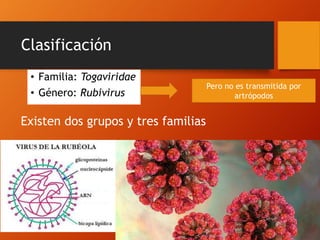 Clasificación
• Familia: Togaviridae
• Género: Rubivirus
Pero no es transmitida por
artrópodos
Existen dos grupos y tres familias
 