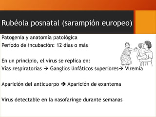 Rubéola posnatal (sarampión europeo)
Patogenia y anatomía patológica
Período de incubación: 12 días o más
En un principio, el virus se replica en:
Vías respiratorias  Ganglios linfáticos superiores Viremia
Aparición del anticuerpo  Aparición de exantema
Virus detectable en la nasofaringe durante semanas
 