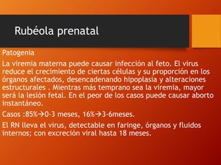 Rubéola prenatal
Patogenia
La viremia materna puede causar infección al feto. El virus
reduce el crecimiento de ciertas células y su proporción en los
órganos afectados, desencadenando hipoplasia y alteraciones
estructurales . Mientras más temprano sea la viremia, mayor
será la lesión fetal. En el peor de los casos puede causar aborto
instantáneo.
Casos :85%0-3 meses, 16%3-6meses.
El RN lleva el virus, detectable en faringe, órganos y fluidos
internos; con excreción viral hasta 18 meses.
 