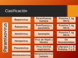Clasificación
Paramixovirus
Respirovirus
Parainfluenza
humana
Proteína F, Ag
HN/G
Rubulavirus
Prainfluenza y
parotiditis
Proteína F, Ag
HN/G
Morbilivirus Sarampión
Proteína F, Ag
HN/G
Henipavirus
Virus de Nipah y
Hendra
Sin
Neuraminidasa
Pneumovirus
Virus sincitial
respiratorio
Subgrupos A y B,
Proteína F y G
Metaneumovirus
Metaneumovirus
humano
 