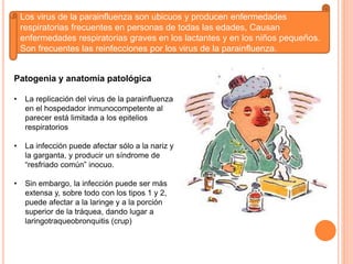 Los virus de la parainfluenza son ubicuos y producen enfermedades
respiratorias frecuentes en personas de todas las edades, Causan
enfermedades respiratorias graves en los lactantes y en los niños pequeños.
Son frecuentes las reinfecciones por los virus de la parainfluenza.
Patogenia y anatomía patológica
• La replicación del virus de la parainfluenza
en el hospedador inmunocompetente al
parecer está limitada a los epitelios
respiratorios
• La infección puede afectar sólo a la nariz y
la garganta, y producir un síndrome de
“resfriado común” inocuo.
• Sin embargo, la infección puede ser más
extensa y, sobre todo con los tipos 1 y 2,
puede afectar a la laringe y a la porción
superior de la tráquea, dando lugar a
laringotraqueobronquitis (crup)
 