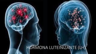 HORMONA LUTEINIZANTE (LH)
 
