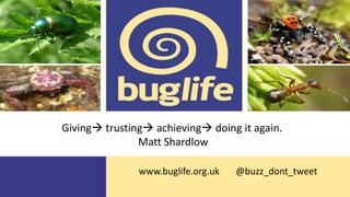 www.buglife.org.uk @buzz_dont_tweet
Giving trusting achieving doing it again.
Matt Shardlow
 