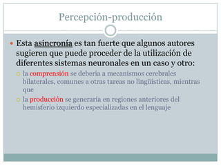 Percepción-producción

 Esta asincronía es tan fuerte que algunos autores
 sugieren que puede proceder de la utilización de
 diferentes sistemas neuronales en un caso y otro:
    la comprensión se debería a mecanismos cerebrales
     bilaterales, comunes a otras tareas no lingüísticas, mientras
     que
    la producción se generaría en regiones anteriores del
     hemisferio izquierdo especializadas en el lenguaje
 