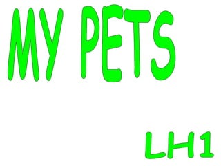 LH1 MY PETS 