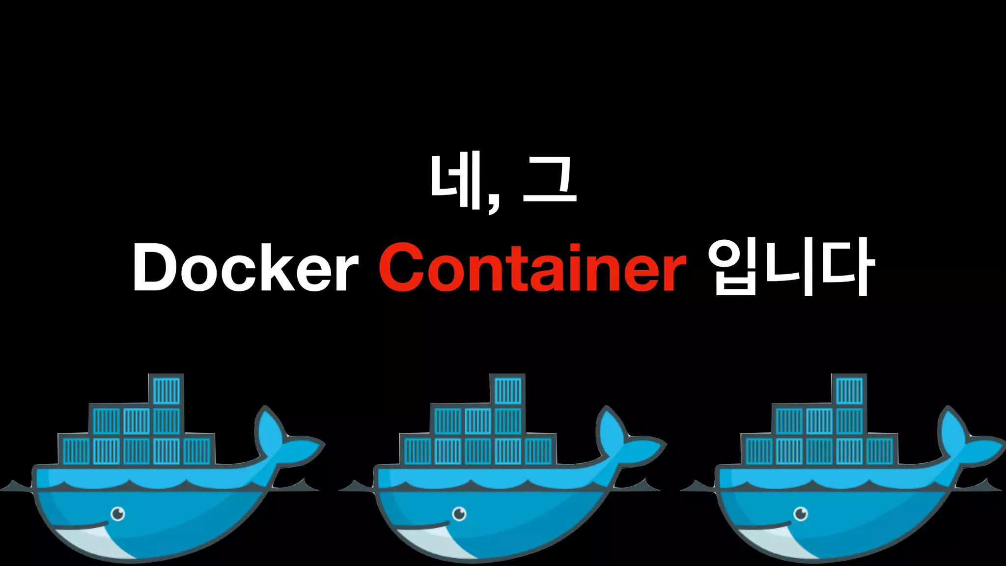 ,  
Docker Container
 