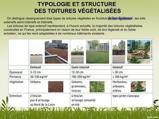 TYPOLOGIE ET STRUCTURE
DES TOITURES VÉGÉTALISÉES
On distingue classiquement trois types de toitures végétales en fonction de leur épaisseur : les toits
extensifs semi-intensifs et intensifs.
Les toitures de type extensif représentent, à l’heure actuelle, la majorité des toitures végétalisées
construites en France, principalement en raison de leur faible coût, de leur légèreté et du faible
entretien, ce qui les rend adaptables à de nombreux bâtiments existants .
 