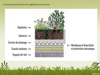 La structure générale d’un toit végétalisé est lasuivante :
 