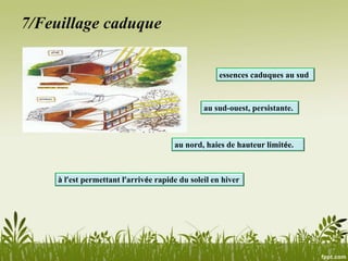7/Feuillage caduque
essences caduques au sud
au sud-ouest, persistante.
au nord, haies de hauteur limitée.
à l’est permettant l’arrivée rapide du soleil en hiver
 