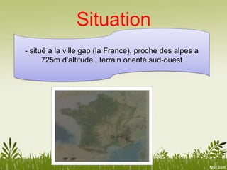 Situation
- situé a la ville gap (la France), proche des alpes a
725m d’altitude , terrain orienté sud-ouest
 