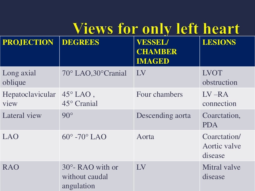 LEFT HEART CATHETERIZATION