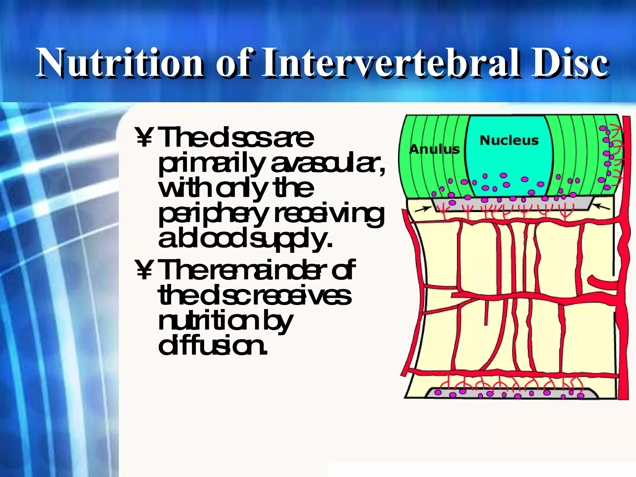 Nutrition of Intervertebral Disc The discs are primarily avascular, with only the periphery receiving a blood supply. The remainder of the disc receives nutrition by diffusion. 