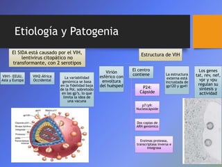Enfermedades de la inmundad | PPTX