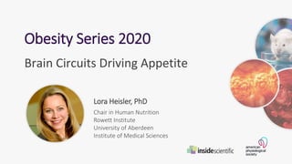 Lora Heisler, PhD
Chair in Human Nutrition
Rowett Institute
University of Aberdeen
Institute of Medical Sciences
Obesity Series 2020
Brain Circuits Driving Appetite
 