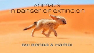 Animals
in danger of extincion
By: Benda & Hamdi
 