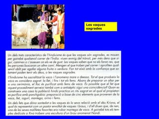 Les vaques
sagrades
 
