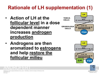 • Action of LH at the
follicular level in a dose
dependent manner
increases androgen
production
• Androgens are then
aromatized to estrogens
and help restore the
follicular milieu
Rationale of LH supplementation (1)
ANDROFERT
androfert.com.br
ANDROLOGY AND HUMAN REPRODUCTION CLINIC - REFERRAL CENTER FOR MALE REPRODUCTION
S ESTEVES, 26
2014 June
ANDROFERT
 