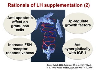 Rationale of LH supplementation (2)
Anti-apoptotic
effect on
granulosa
cells
Up-regulate
growth factors
Increase FSH
receptor
responsiveness
Act
synergistically
with IGF-1
Rimon E et al., 2004; Robinson RS et al., 2007; Tilly JL
et al., 1992; Peluso JJ et al., 2001, Ben-Ami I et al., 2009
 