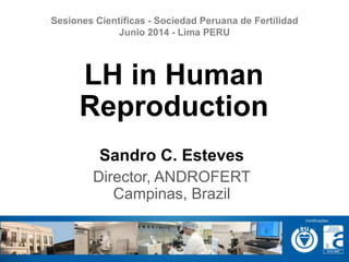 Sandro C. Esteves
Director, ANDROFERT
Campinas, Brazil
LH in Human
Reproduction
Sesiones Científicas - Sociedad Peruana de Fertilidad
Junio 2014 - Lima PERU
 
