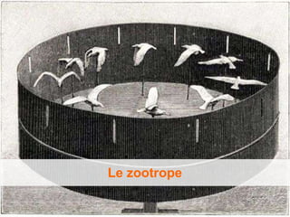 Le zootrope
 