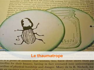 Le thaumatrope
 