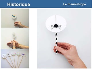 Historique Le thaumatrope
 