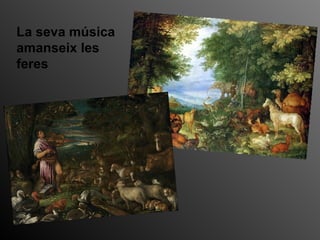 La seva música
amanseix les
feres
 