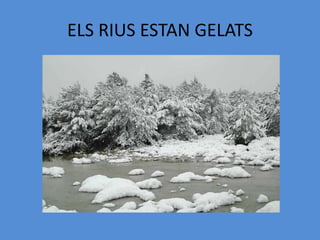 ELS RIUS ESTAN GELATS
 
