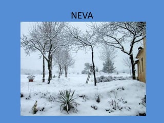 NEVA
 