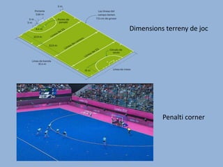 Dimensions terreny de joc
Penalti corner
 