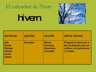 El calendari de l’hort hivern Preparar la terra per a les hortalisses que es colliran a la primavera i a l'estiu   Raves Enciams Escaroles Carxofes   Enciams   Alls Raves Patates Pèsols Faves Cebes   altres feines recollir plantar sembrar 
