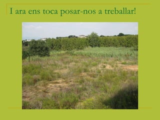 I ara ens toca posar-nos a treballar! fi 