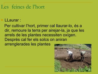 Les  feines de l’hort LLaurar : Per cultivar l’hort, primer cal llaurar-lo, és a dir, remoure la terra per airejar-la, ja que les arrels de les plantes necessiten oxígen. Després cal fer els solcs on aniran arrenglerades les plantes 