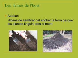 Les  feines de l’hort Adobar: Abans de sembrar cal adobar la terra perquè les plantes tinguin prou aliment 