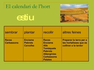 El calendari de l’hort estiu Preparar la terra per a les hortalisses que es colliran a la tardor   Raves Enciams Alls Tomàquets Pebrots Albergínies Carbassons Patates   Enciams Pebrots Carxofes   Raves Carbassons   altres feines recollir plantar sembrar 