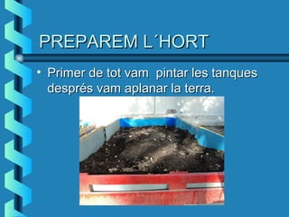 PREPAREM L´HORTPREPAREM L´HORT
• Primer de tot vam pintar les tanquesPrimer de tot vam pintar les tanques
després vam aplanar la terra.després vam aplanar la terra.
 