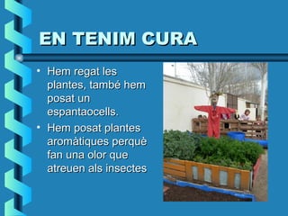 EN TENIM CURAEN TENIM CURA
• Hem regat lesHem regat les
plantes, també hemplantes, també hem
posat unposat un
espantaocells.espantaocells.
• Hem posat plantesHem posat plantes
aromàtiques perquèaromàtiques perquè
fan una olor quefan una olor que
atreuen als insectesatreuen als insectes
 
