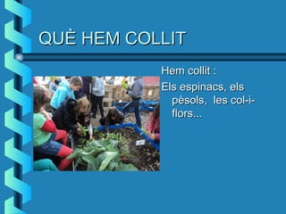 QUÈ HEM COLLITQUÈ HEM COLLIT
Hem collit :Hem collit :
Els espinacs, elsEls espinacs, els
pèsols, les col-i-pèsols, les col-i-
flors...flors...
 