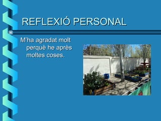 REFLEXIÓ PERSONALREFLEXIÓ PERSONAL
M’ha agradat moltM’ha agradat molt
perquè he aprèsperquè he après
moltes coses.moltes coses.
 