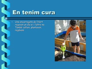 En tenim curaEn tenim cura
• Uns encarregats de l’HortUns encarregats de l’Hort
regaven un dia si i l’altre no.regaven un dia si i l’altre no.
També collien, plantaven,També collien, plantaven,
regàvemregàvem
 