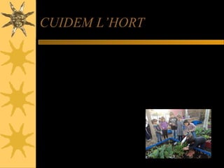 CUIDEM L’HORT
Cada setmana uns quants baixaven a cuidar
l’hort. Regàvem, lligàvem les escaroles,
miràvem que no i haguessin males herbes,
vam posar-hi un espantaocells perquè els
ocells no es mengessin els fruits.
 