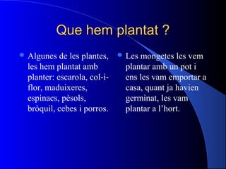 Que hem plantat ?Que hem plantat ?
 Algunes de les plantes,
les hem plantat amb
planter: escarola, col-i-
flor, maduixeres,
espinacs, pèsols,
bròquil, cebes i porros.
 Les mongetes les vem
plantar amb un pot i
ens les vam emportar a
casa, quant ja havien
germinat, les vam
plantar a l’hort.
 
