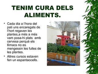 TENIM CURA DELS
ALIMENTS.
 Cada dia a l’hora del
pati uns encaregats de
l’hort regaven les
plantes,a més a més
vam posa-hi plats amb
cervesa perquè els
llimacs no es
mengessin les fulles de
les plantes.
 Altres cursos estaven
fen un espantaocells.
 