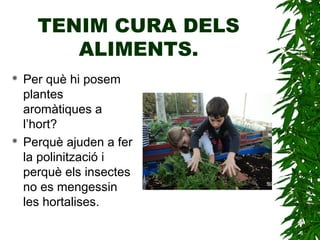TENIM CURA DELS
ALIMENTS.
 Per què hi posem
plantes
aromàtiques a
l’hort?
 Perquè ajuden a fer
la polinització i
perquè els insectes
no es mengessin
les hortalises.
 