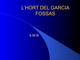 L’HORT DEL GARCIAL’HORT DEL GARCIA
FOSSASFOSSAS
S M B
 