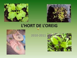 L’HORT DE L’OREIG 2010-2011 