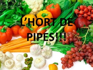 L’HORT DE
  PIPES!!!
 