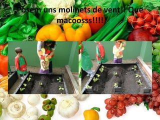 Posem uns molinets de vent!! Que
         macoosss!!!!
 