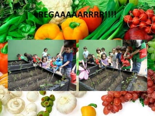 REGAAAAARRRR!!!!
 