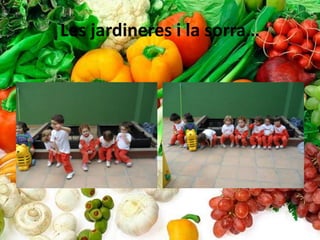 Les jardineres i la sorra…
 